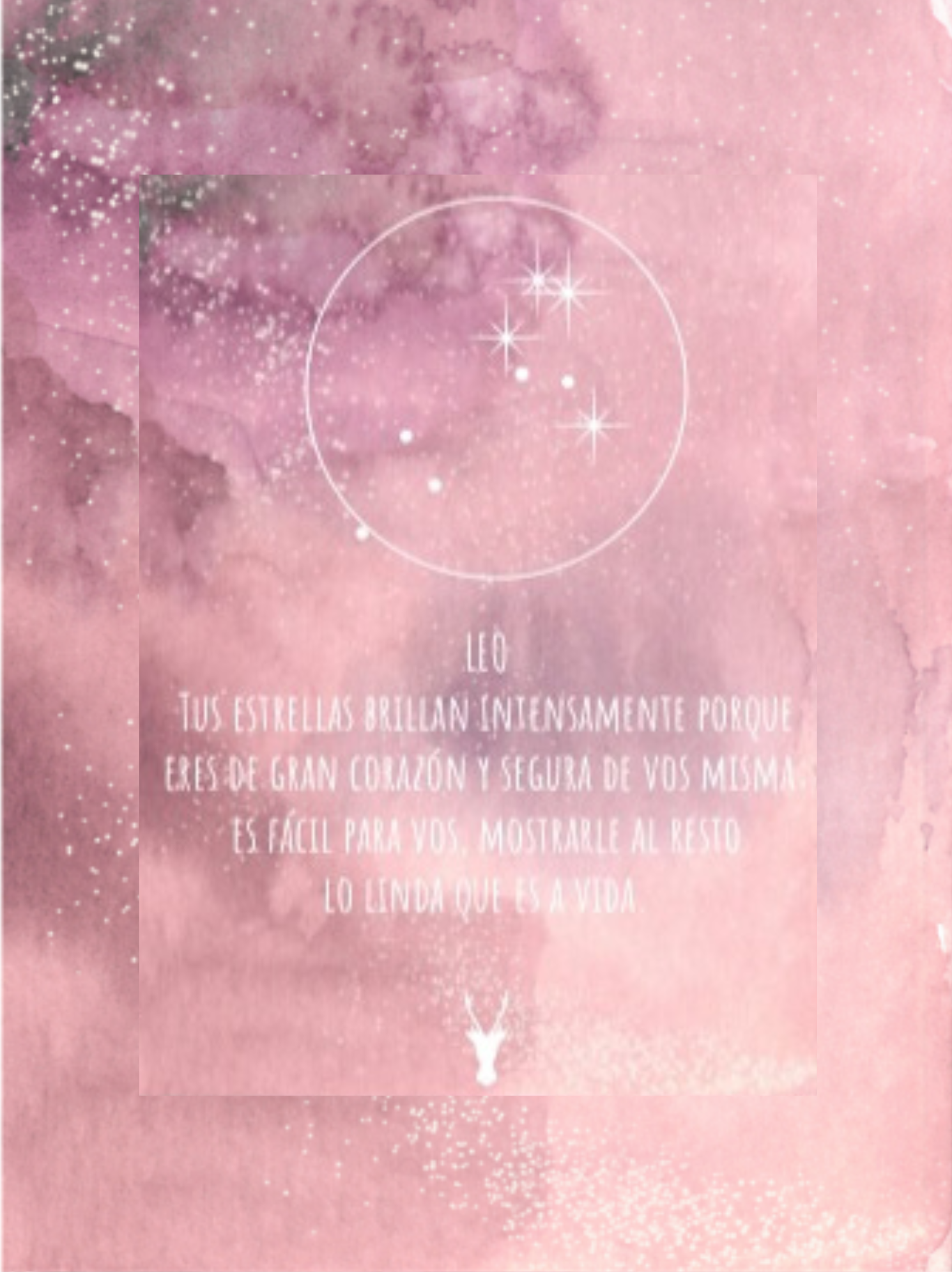 Collar Leo - Imagen 5