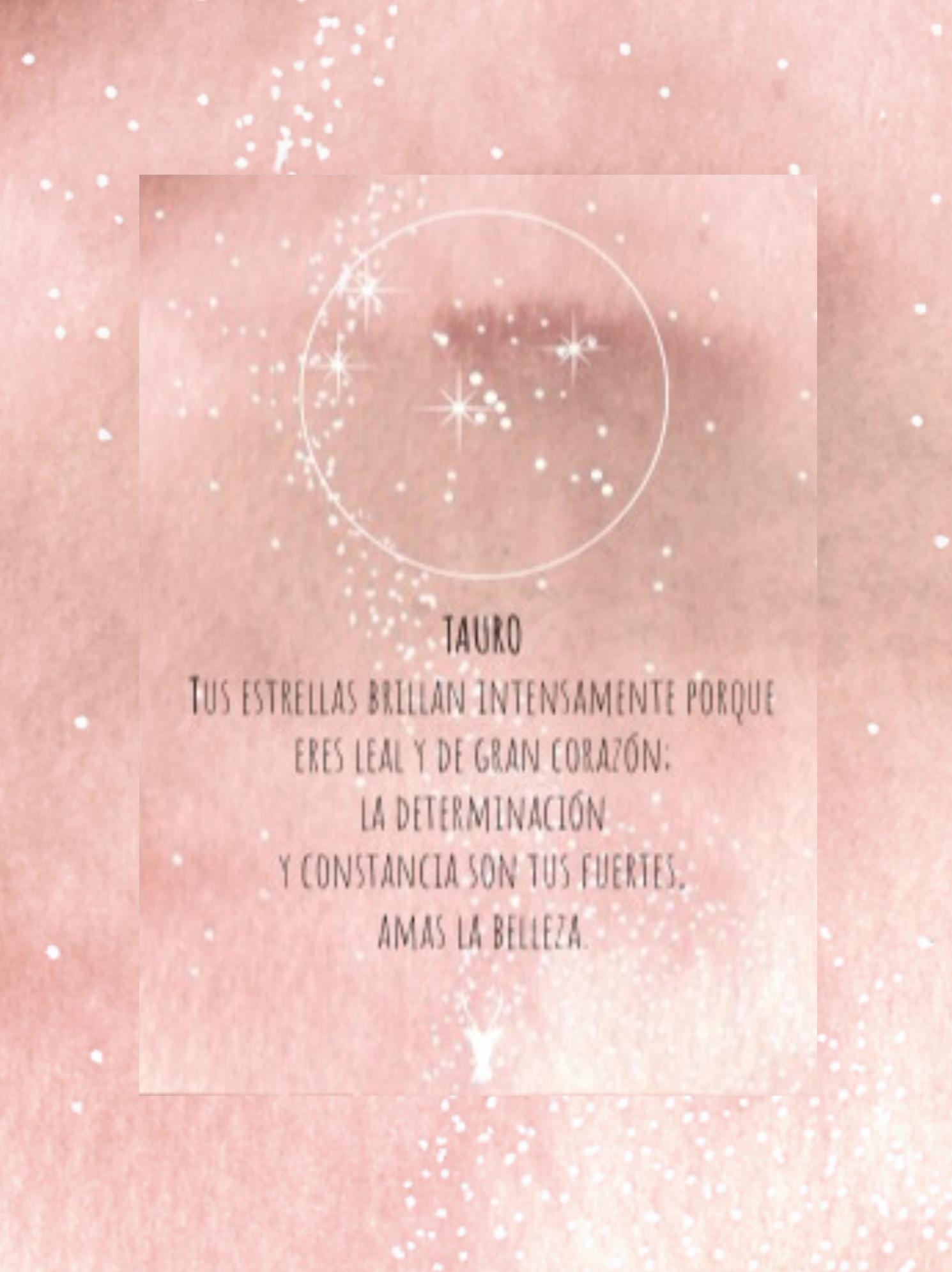 Collar Tauro - Imagen 5