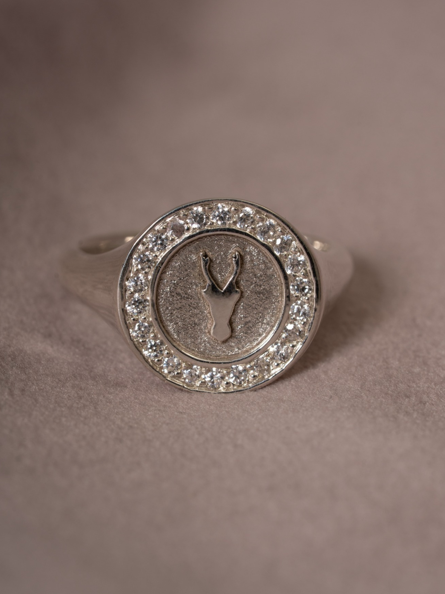 Anillo de plata con piedras